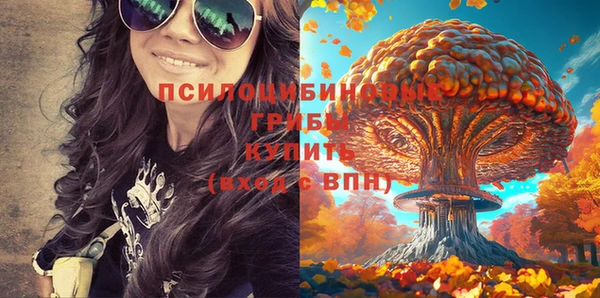 мет Алексеевка